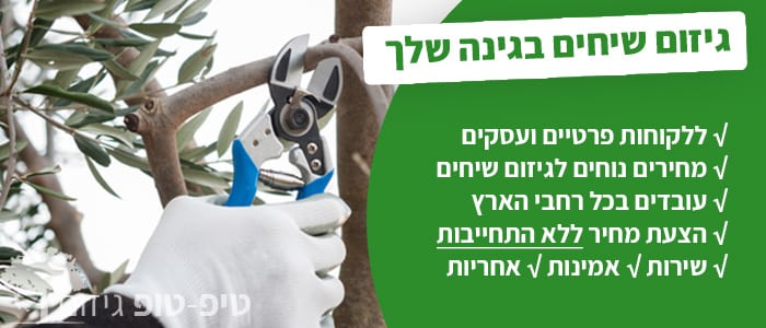 גיזום שיחים בגינה